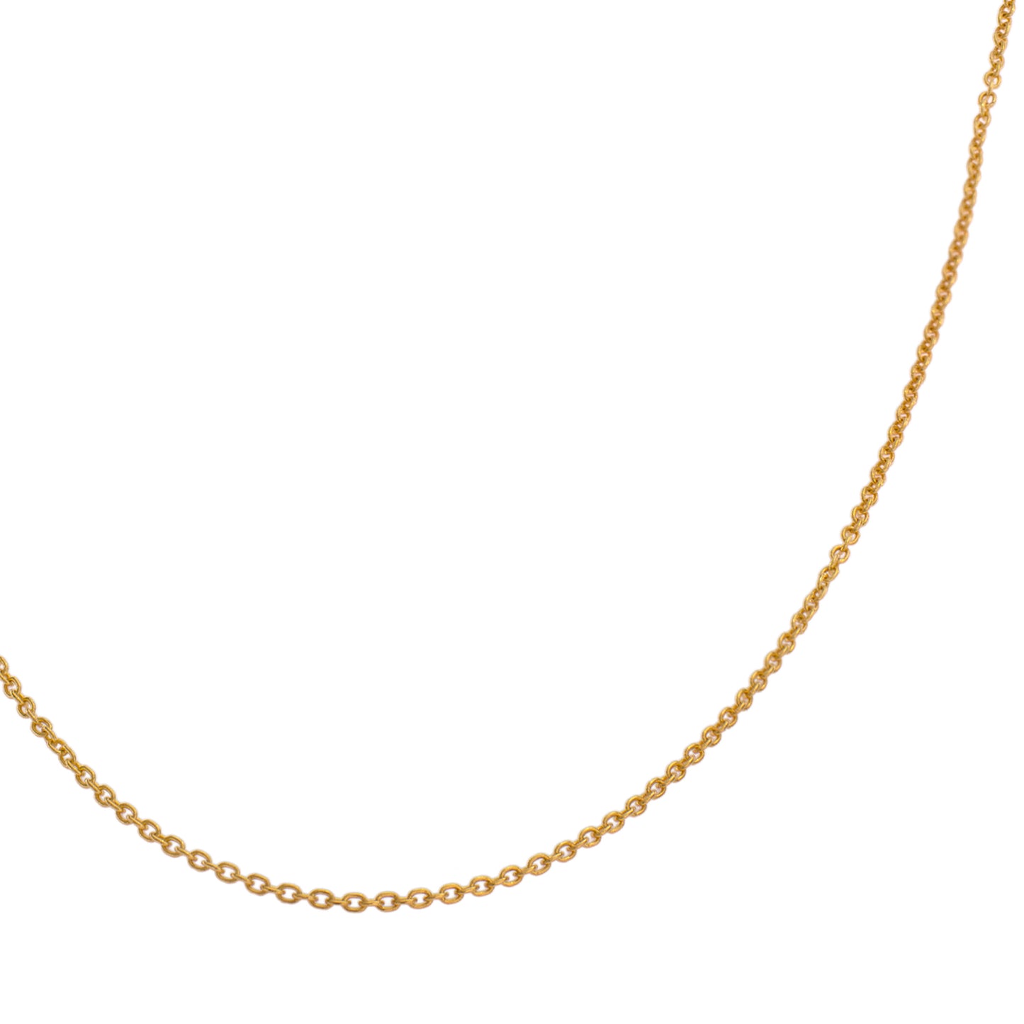 The Everyday Gold Chain